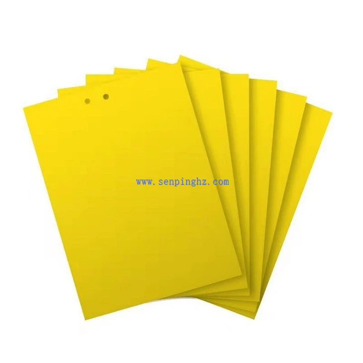 Yellow pp Sticky boards